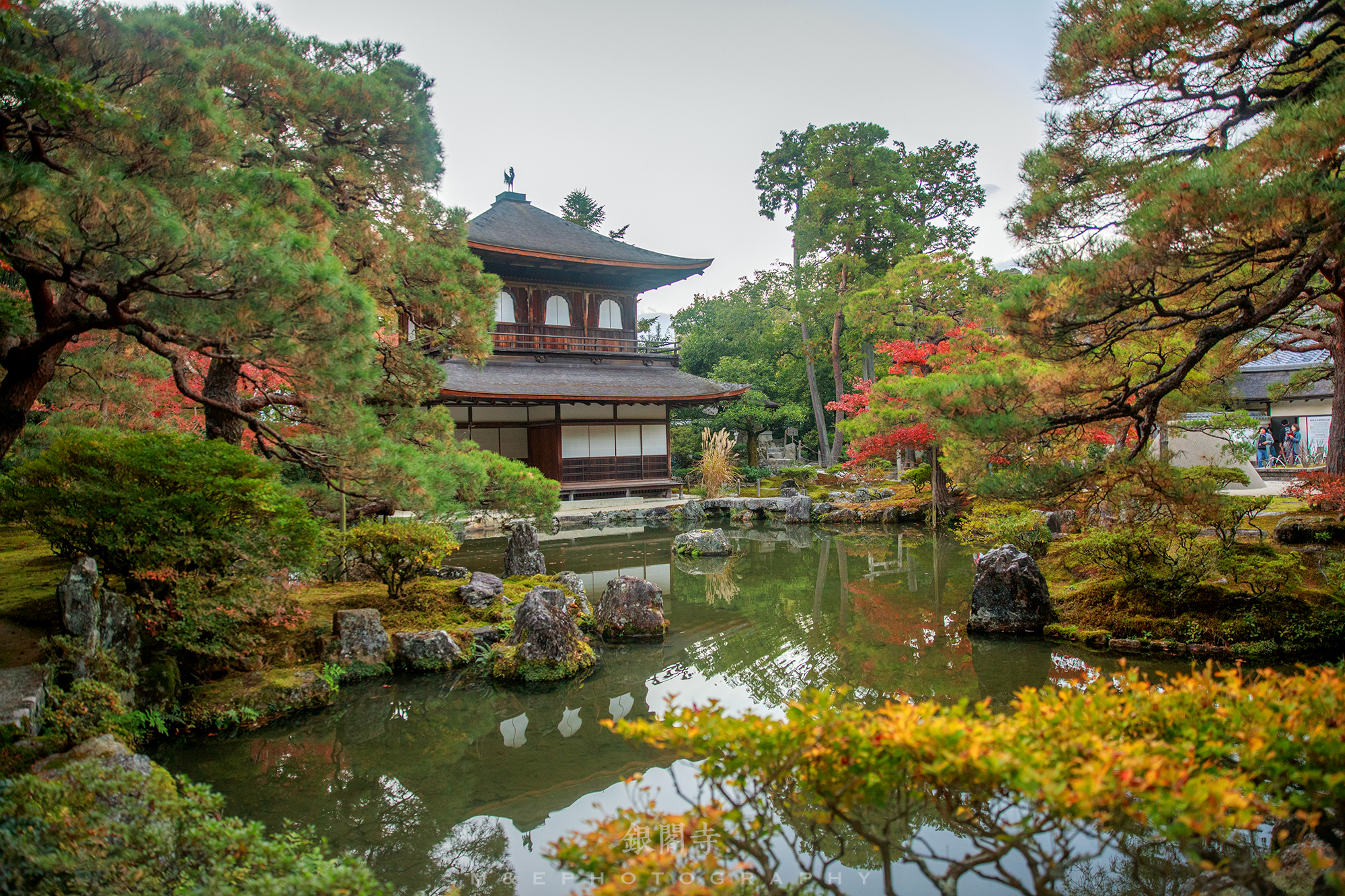 京都自助遊攻略