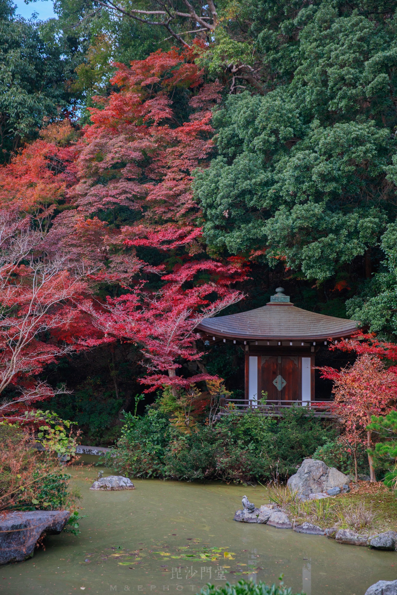 京都自助遊攻略