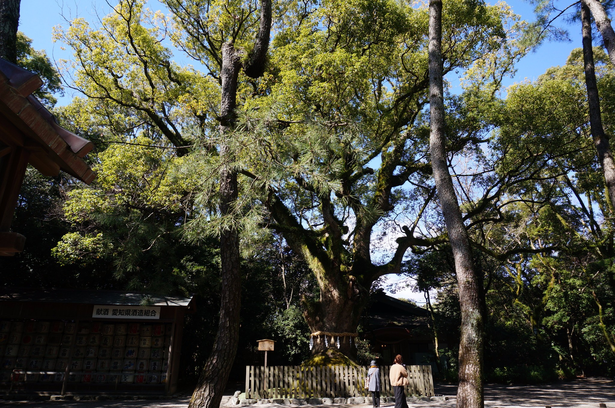 名古屋自助遊攻略