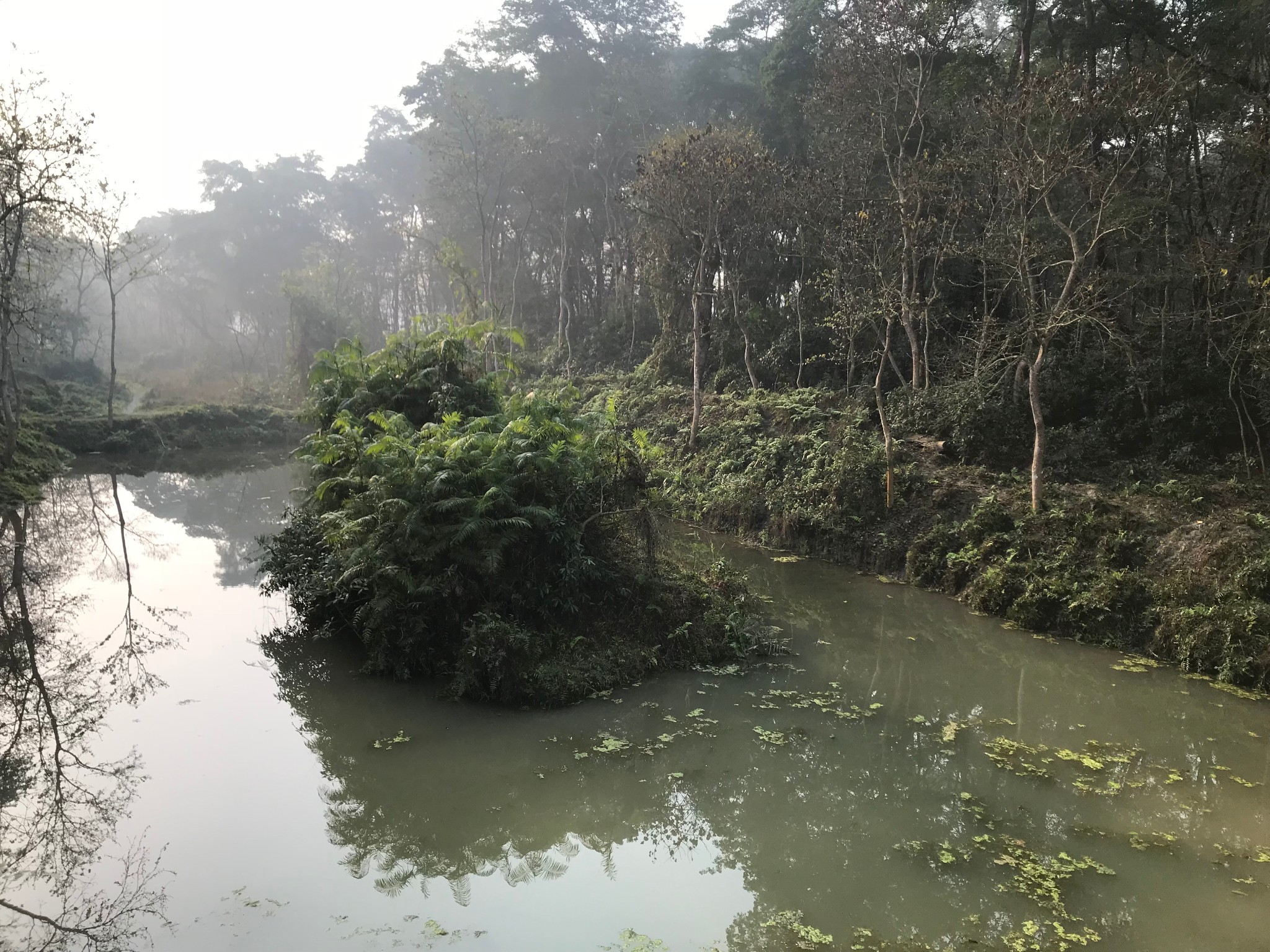 尼泊爾自助遊攻略