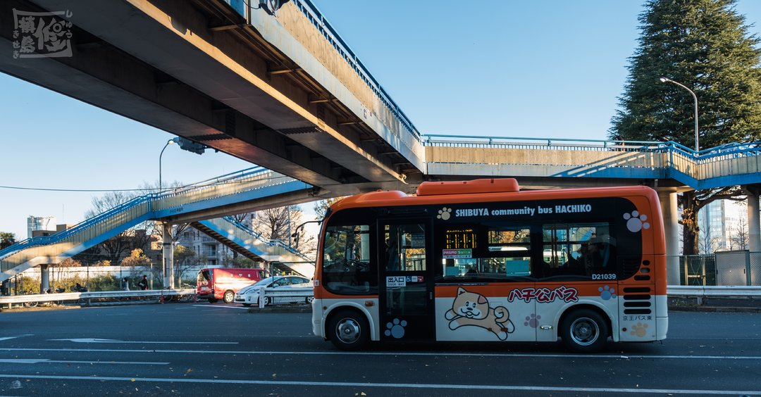 東京自助遊攻略