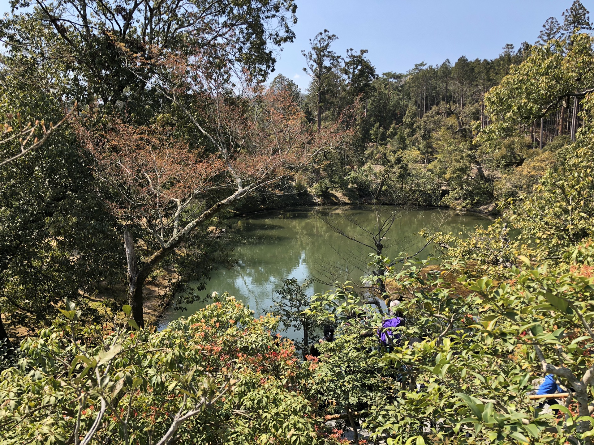 京都自助遊攻略