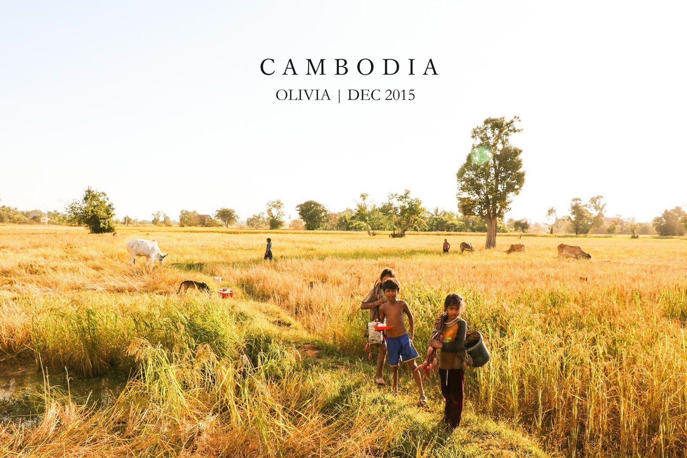 wKgEaVynKAuAQi0bAAXCmCBDZVw80.jpeg?imageView2%2F2%2Fw%2F680%2Fq%2F90%7CimageMogr2%2Fstrip%2Fquality%2F90