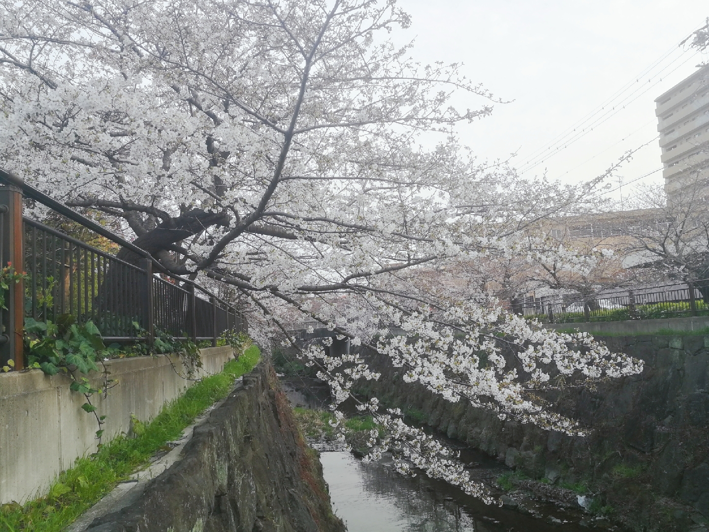 名古屋自助遊攻略