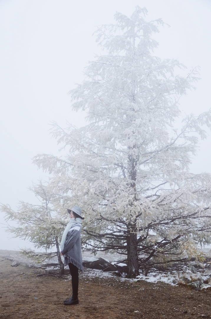 wKgEaVzRP7iAWsKYAAihYYFkQMU14.jpeg?imageView2%2F2%2Fw%2F680%2Fq%2F90%7CimageMogr2%2Fstrip%2Fquality%2F90