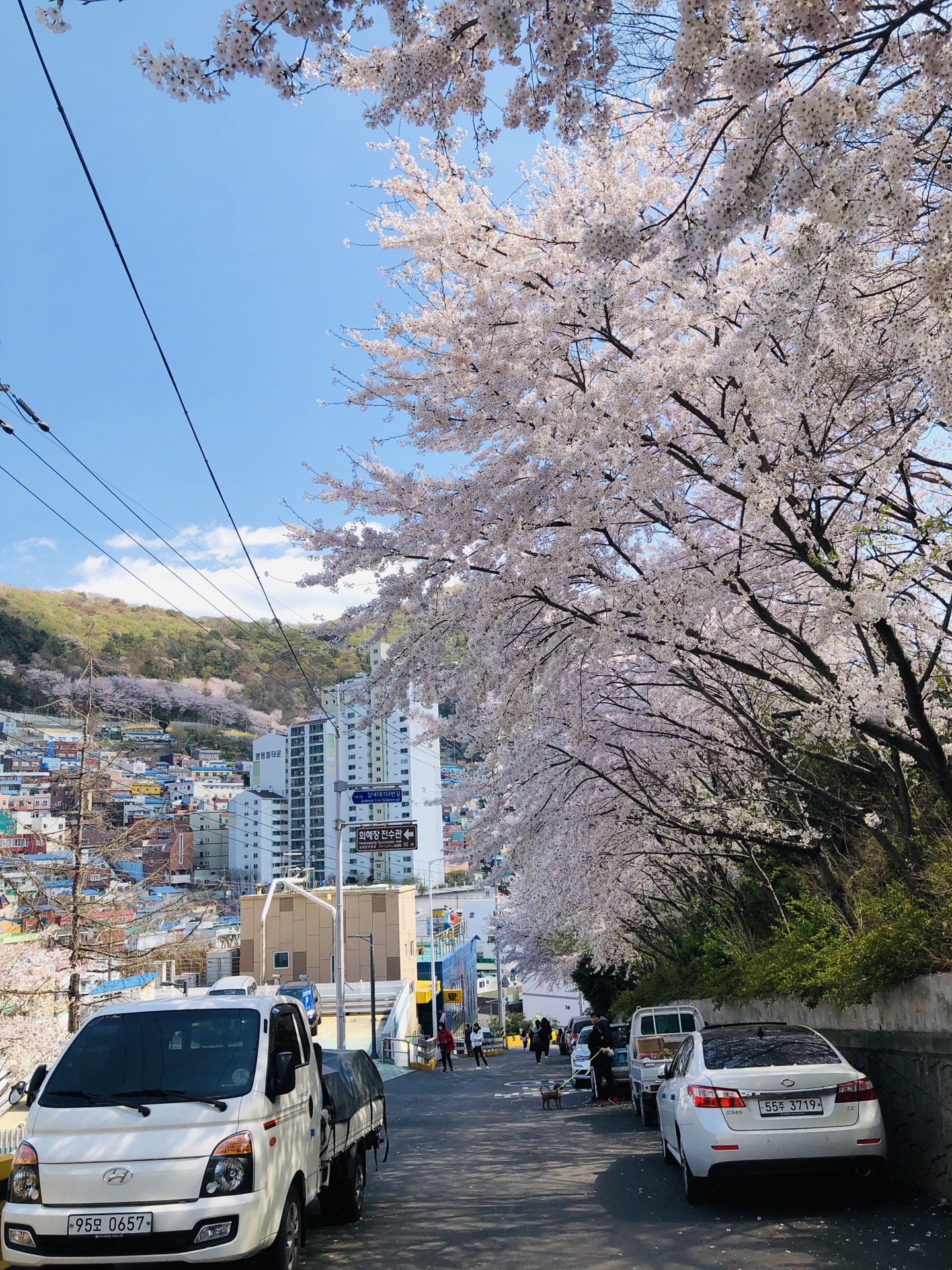 韓國自助遊攻略