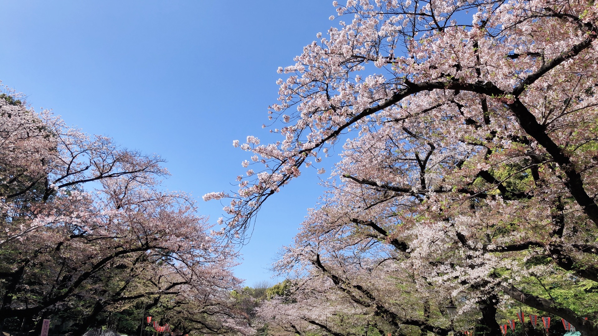 箱根自助遊攻略