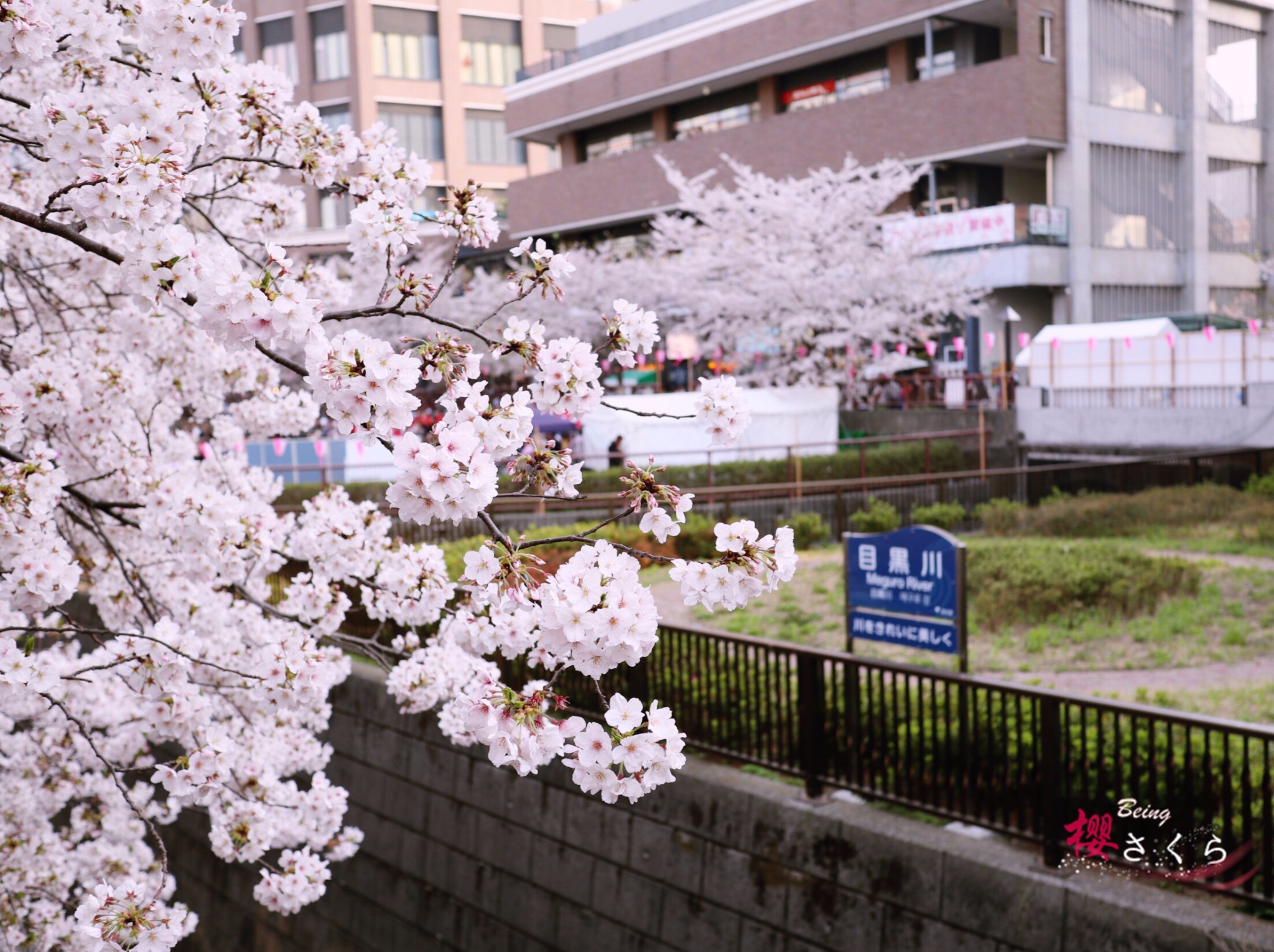 東京自助遊攻略