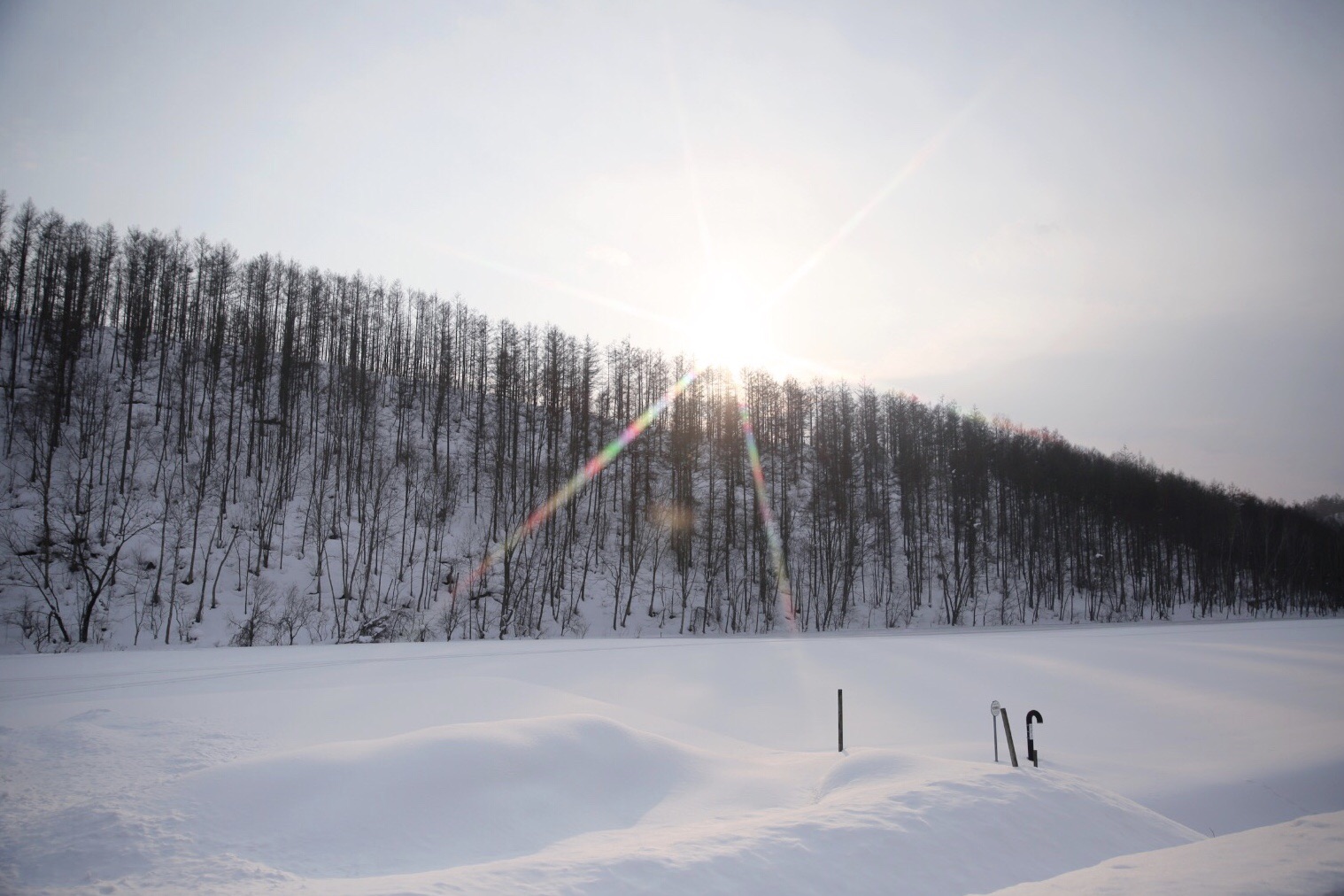 北海道自助遊攻略