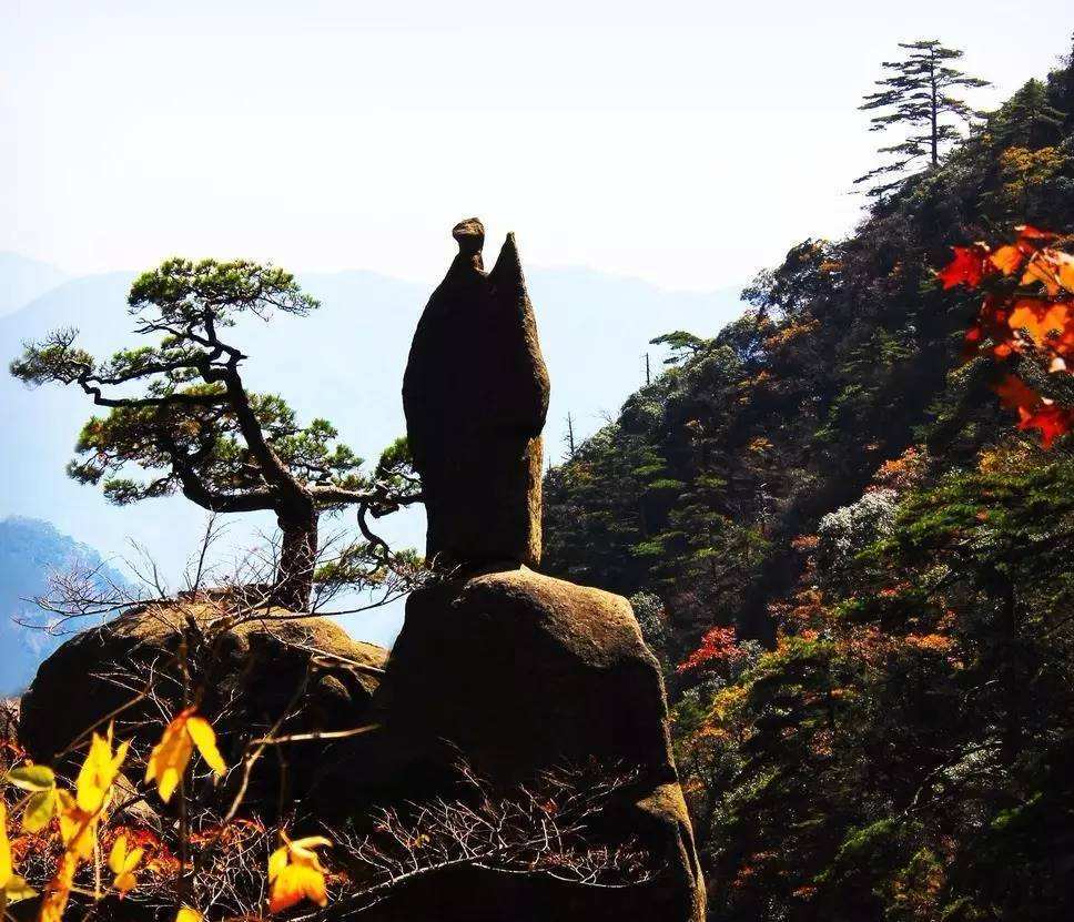 黃山的仙桃石,天狗望月,仙人指路,獅子搶球分別都在哪個位置?