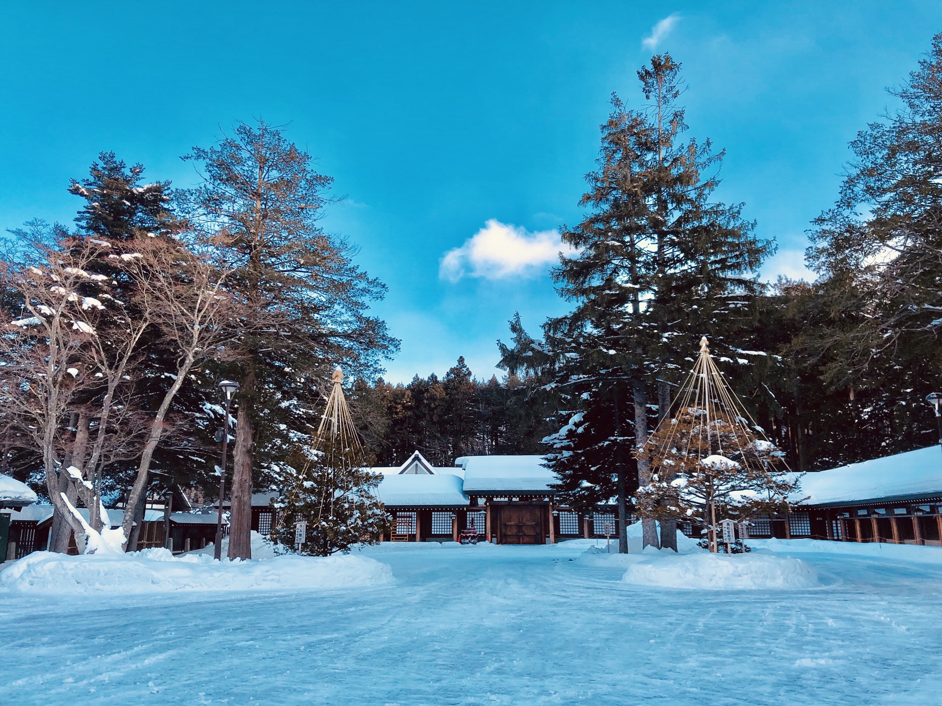 北海道自助遊攻略