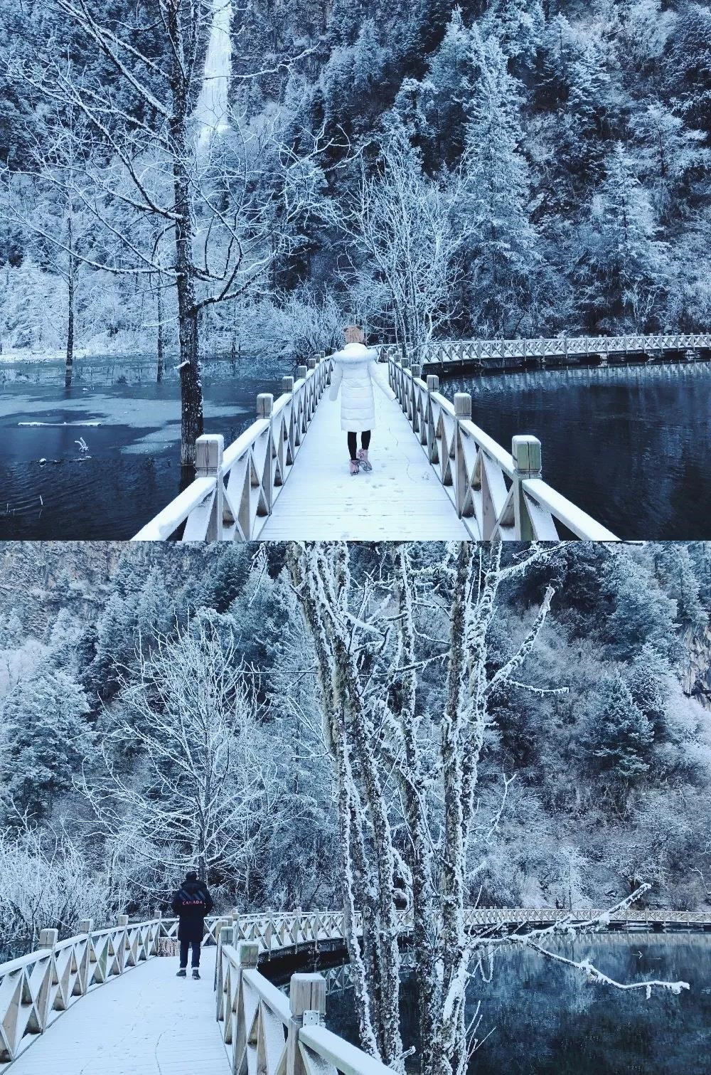 滑雪婚纱照_滑雪图片卡通(3)