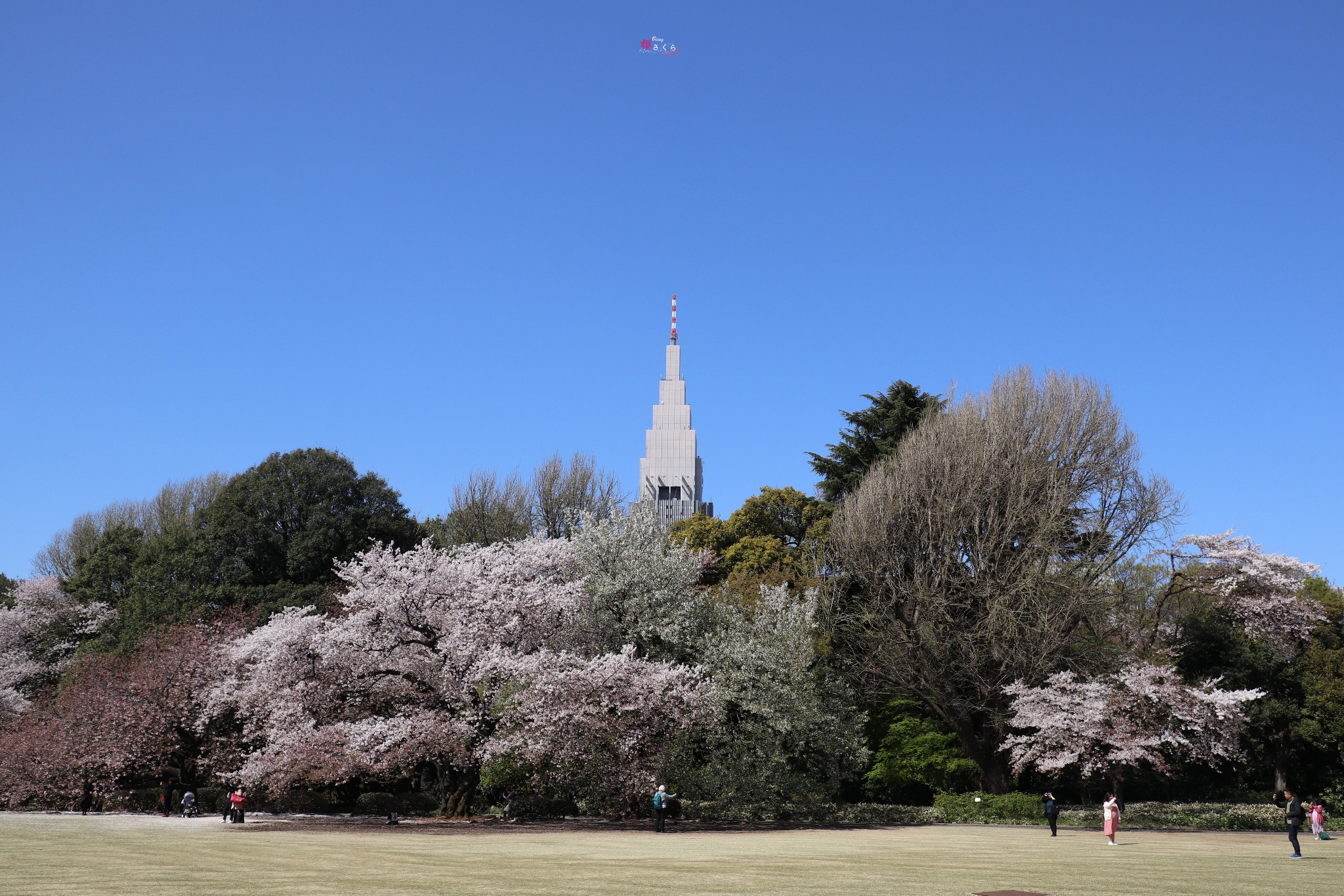 東京自助遊攻略