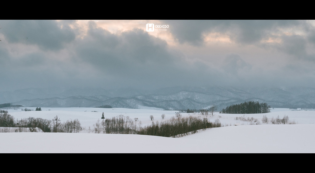 北海道自助遊攻略