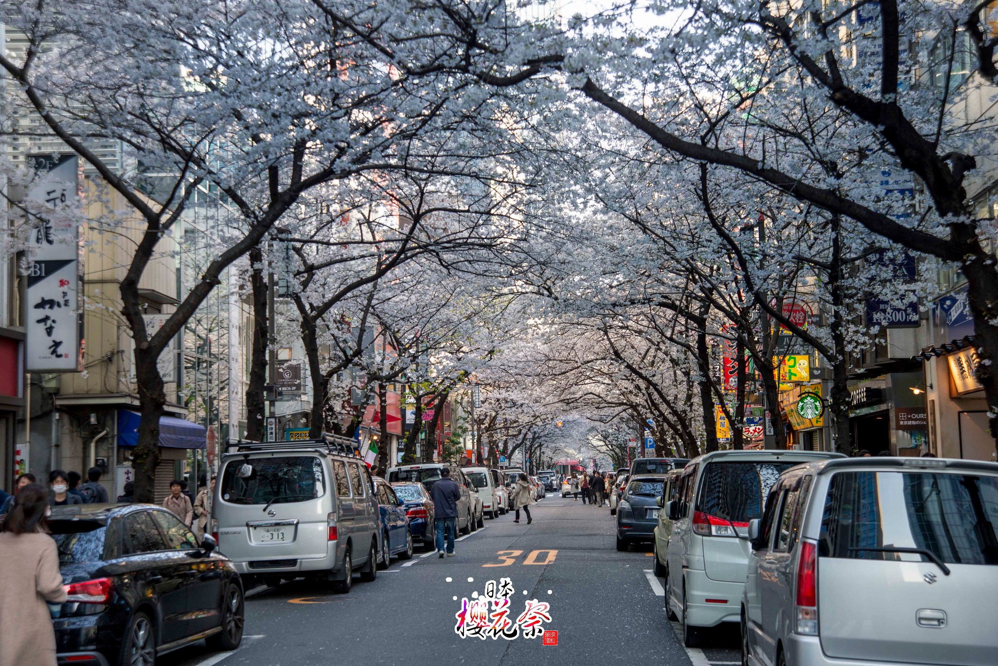 東京自助遊攻略