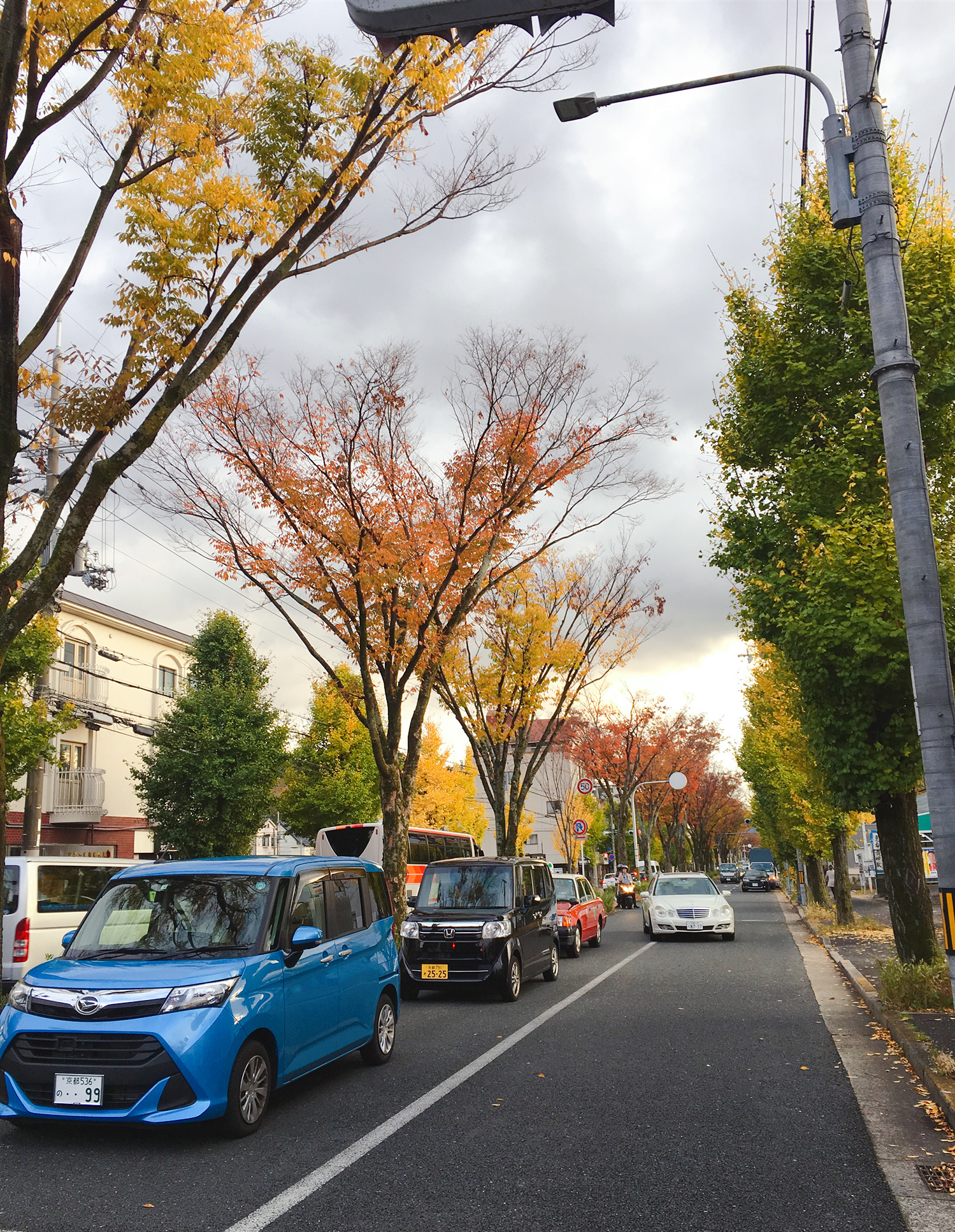 京都自助遊攻略