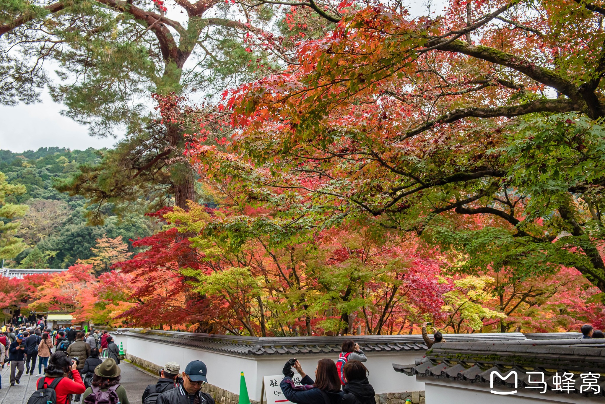 京都自助遊攻略