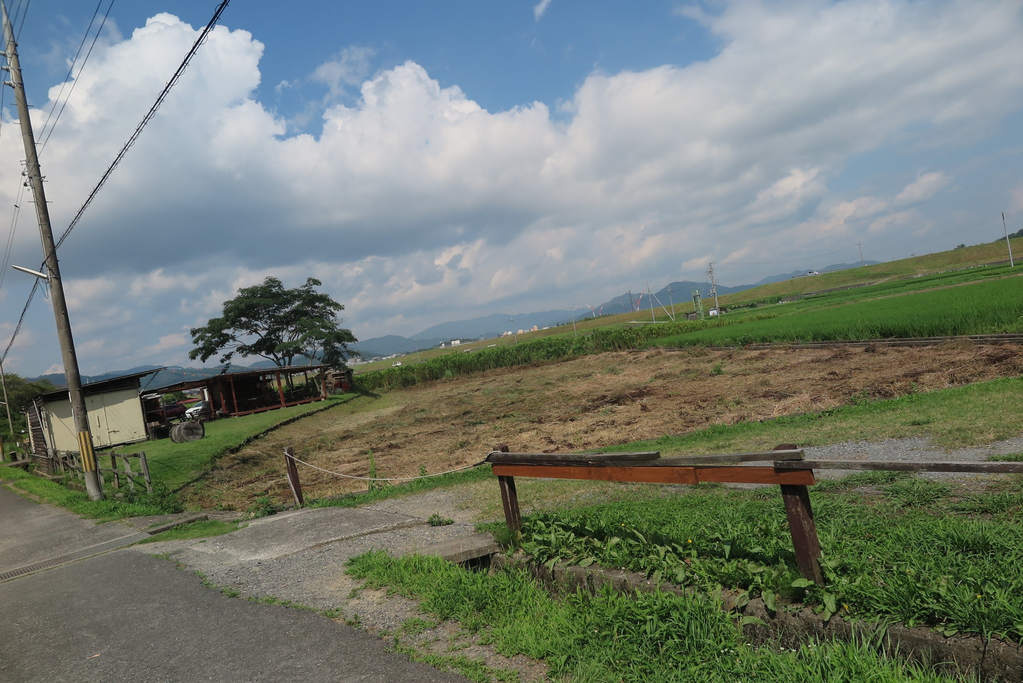 京都自助遊攻略