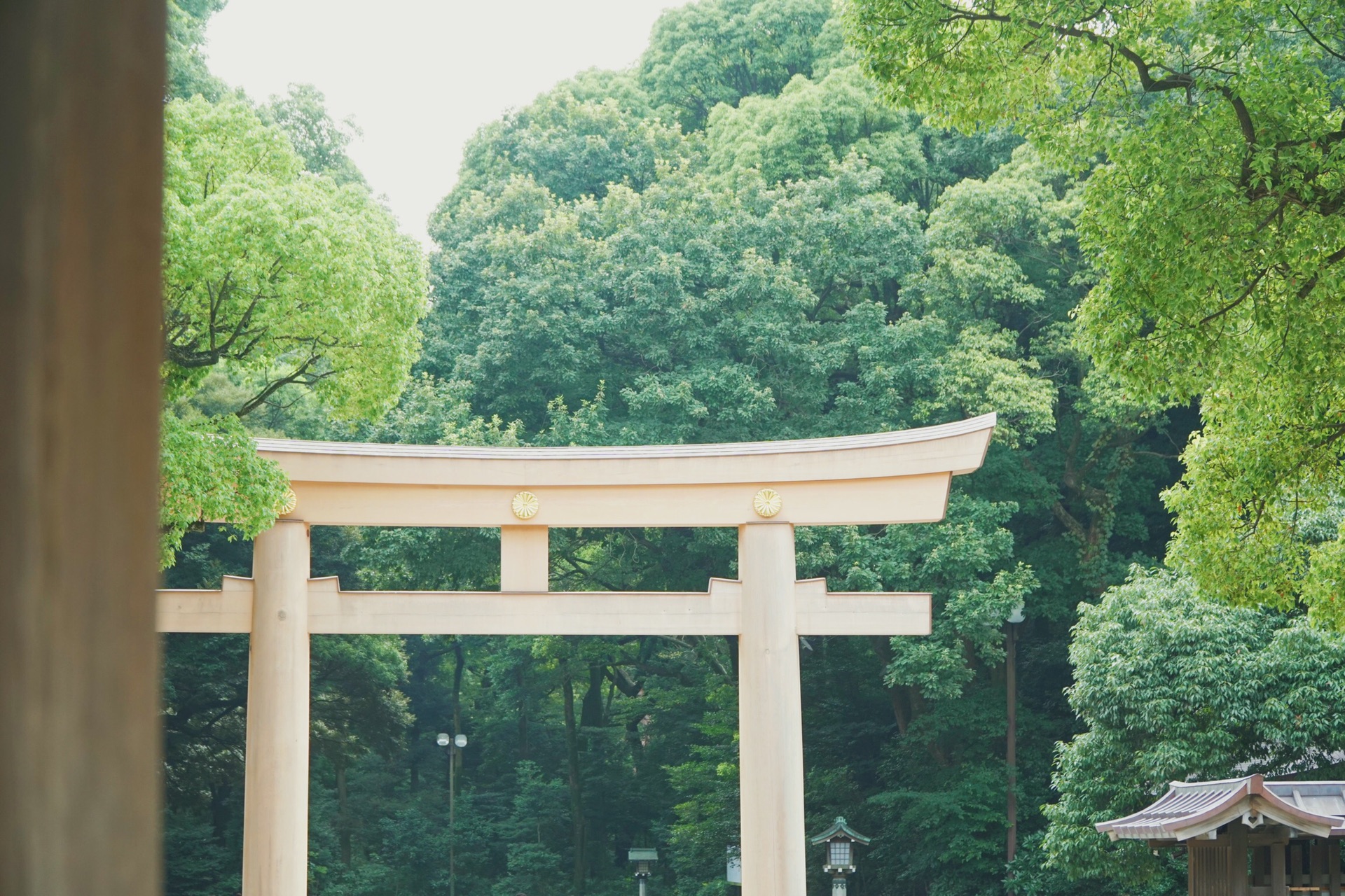 東京自助遊攻略