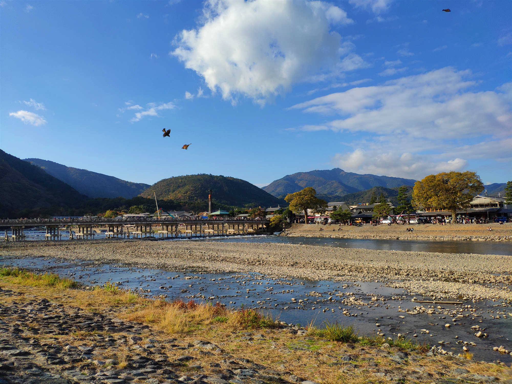 京都自助遊攻略