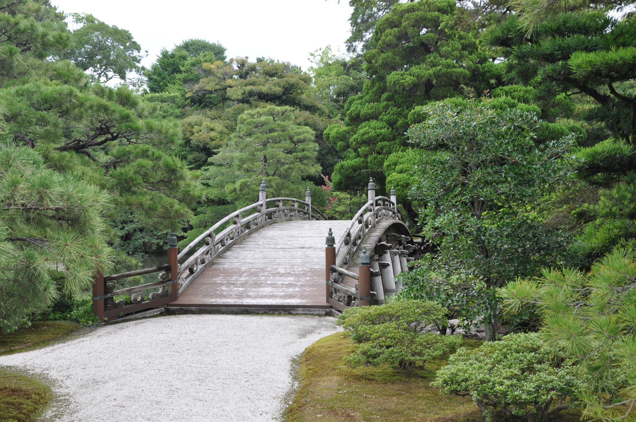 京都自助遊攻略