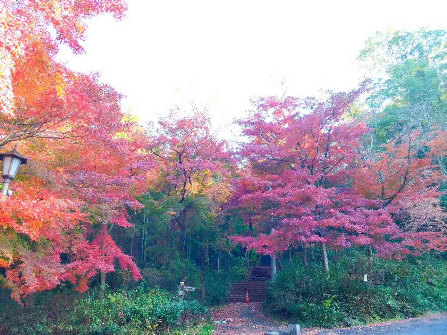 名古屋自助遊攻略