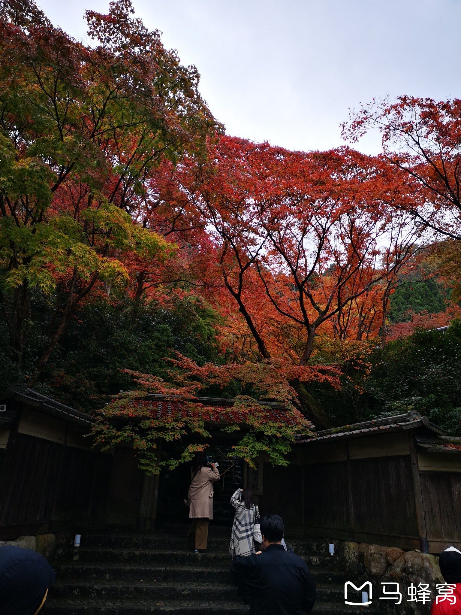 京都自助遊攻略