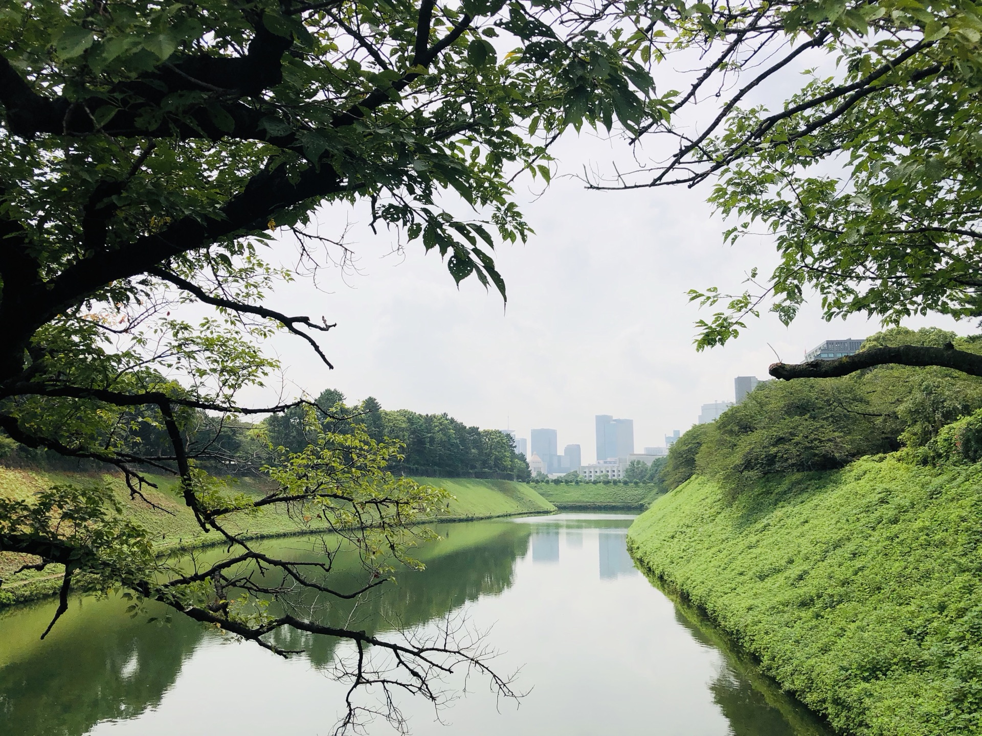 東京自助遊攻略