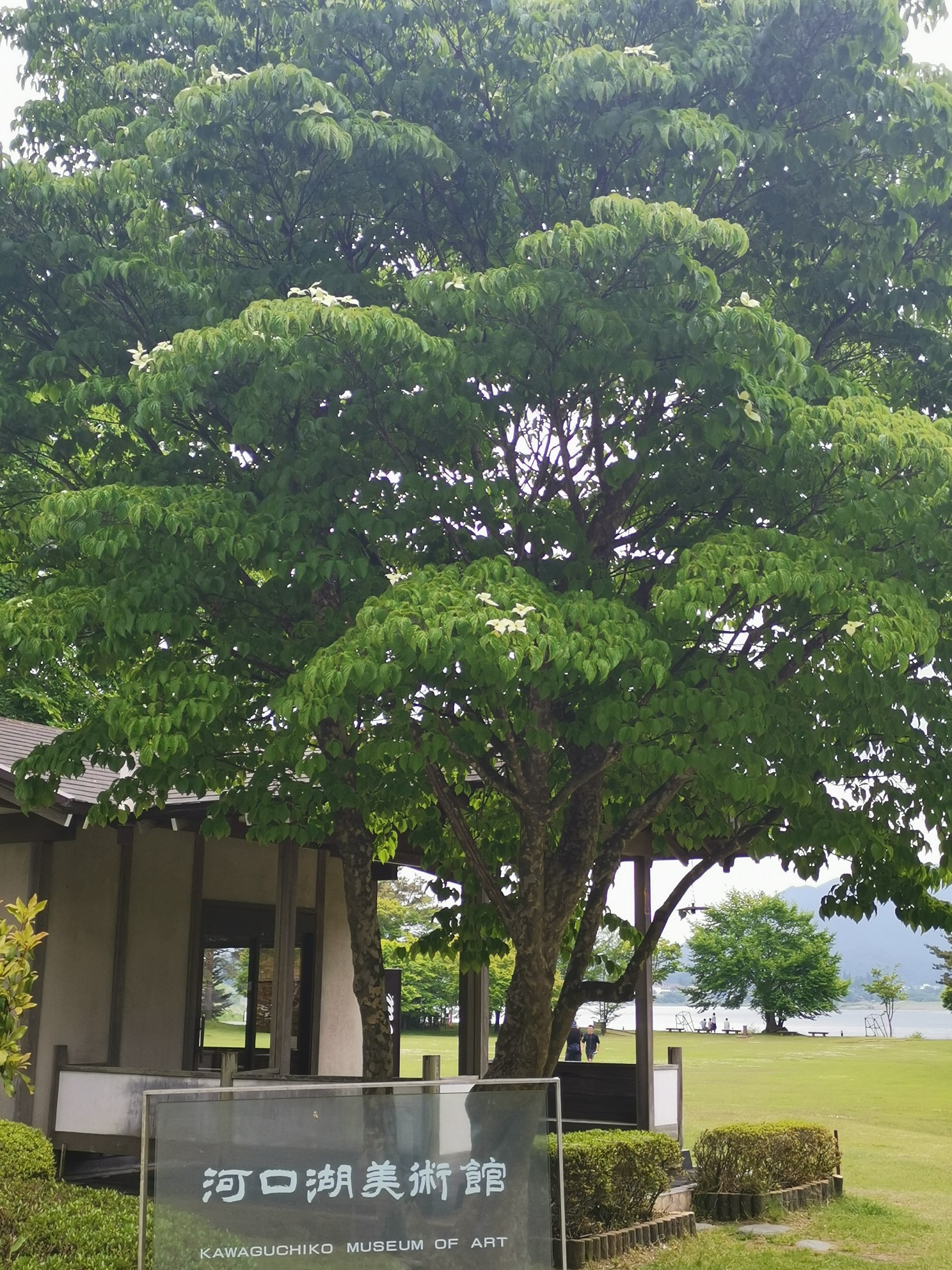 富士山自助遊攻略