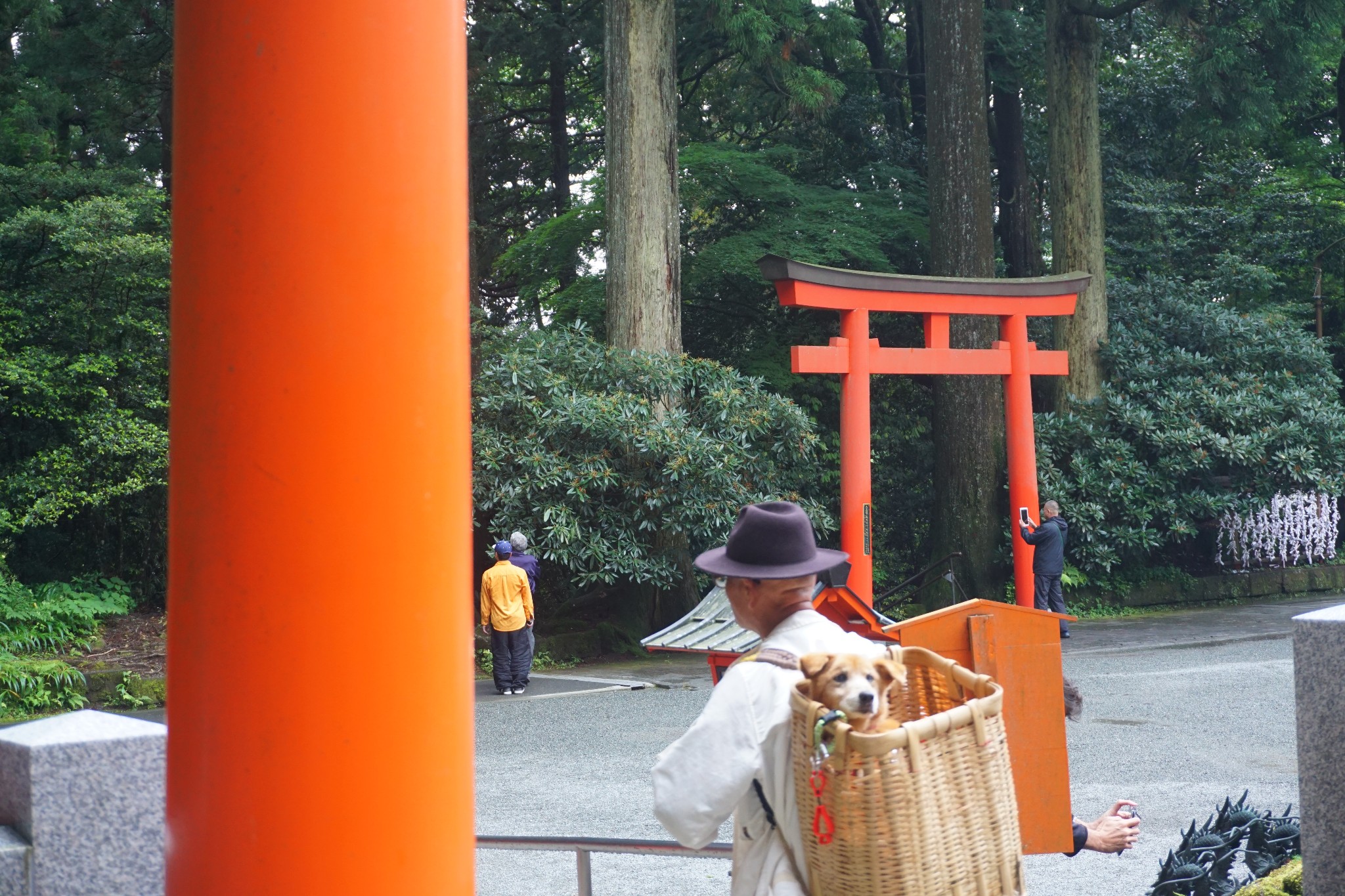 東京自助遊攻略