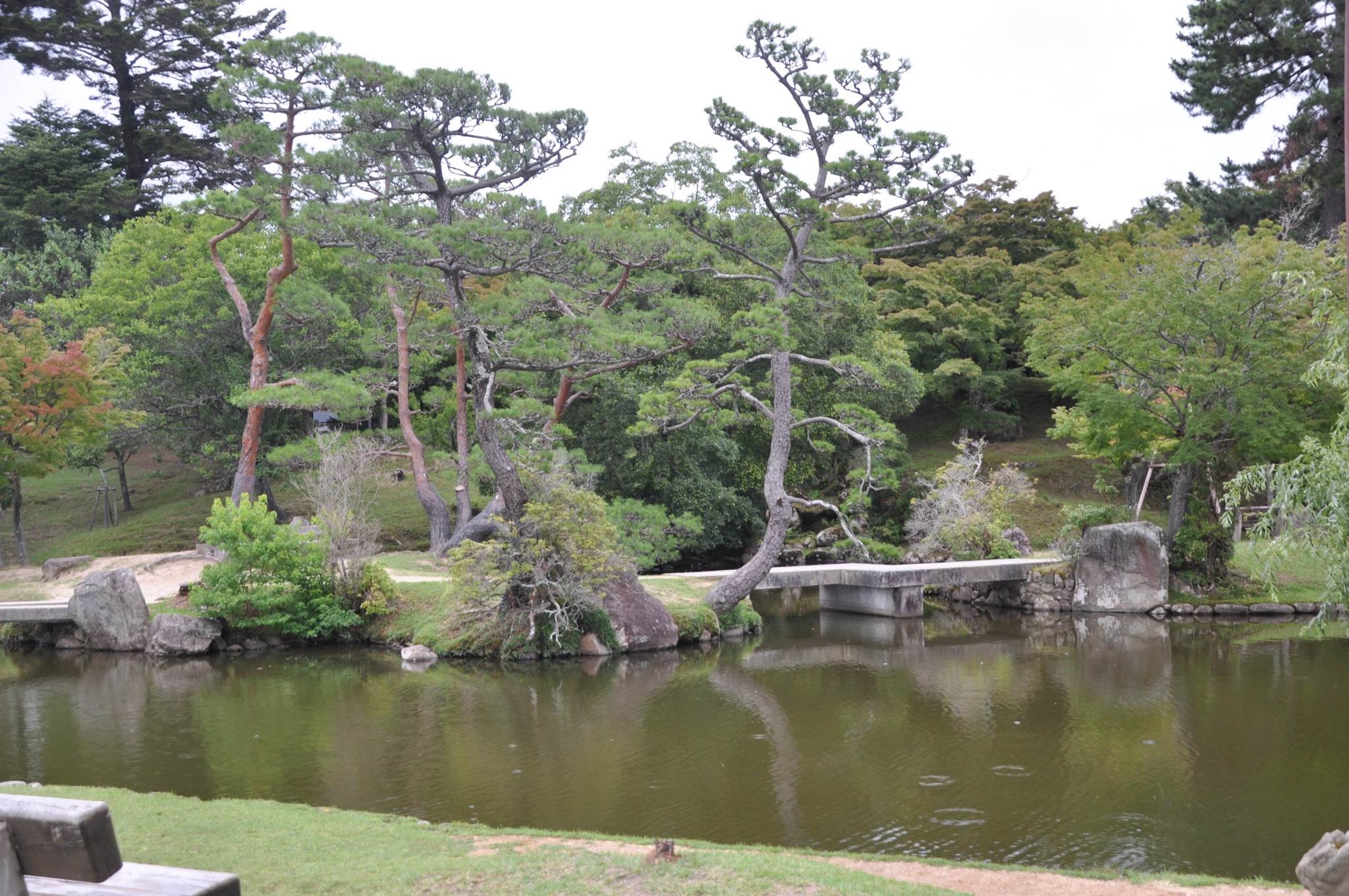 京都自助遊攻略