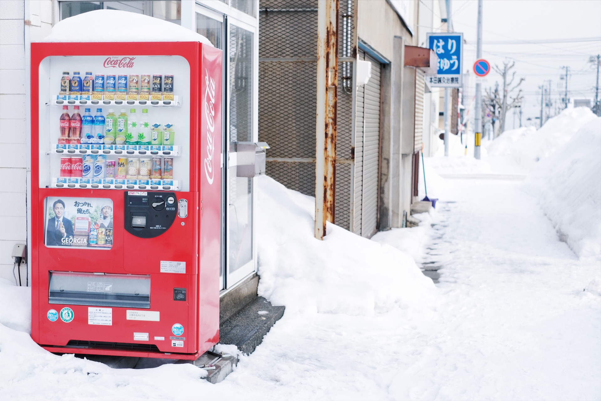 北海道自助遊攻略