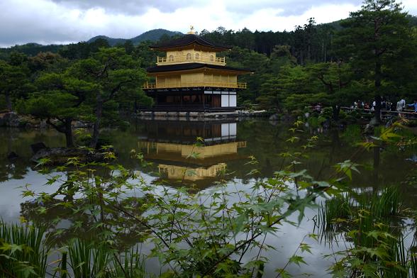 京都自助遊攻略