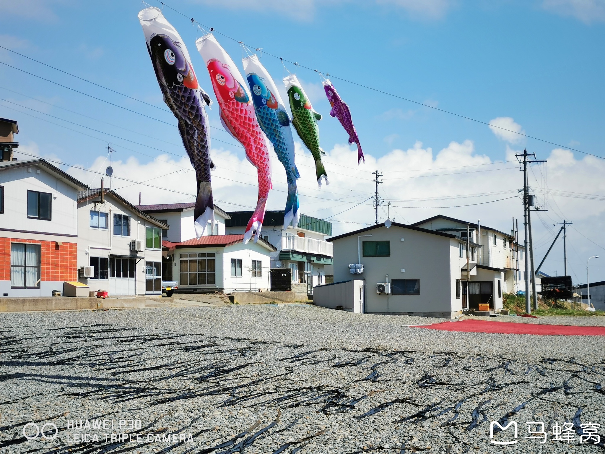 北海道自助遊攻略