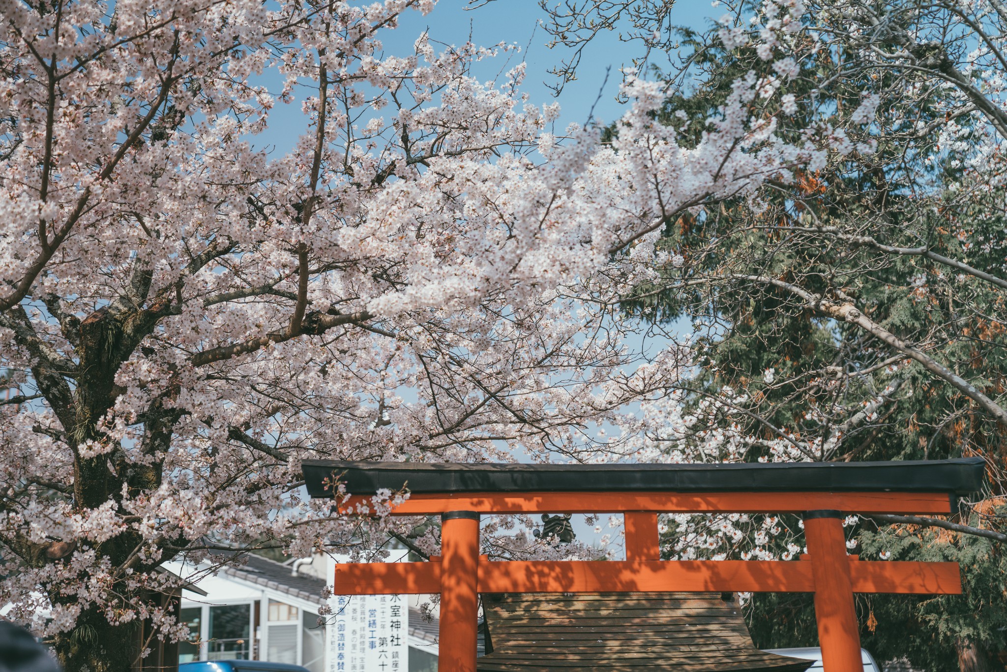 京都自助遊攻略