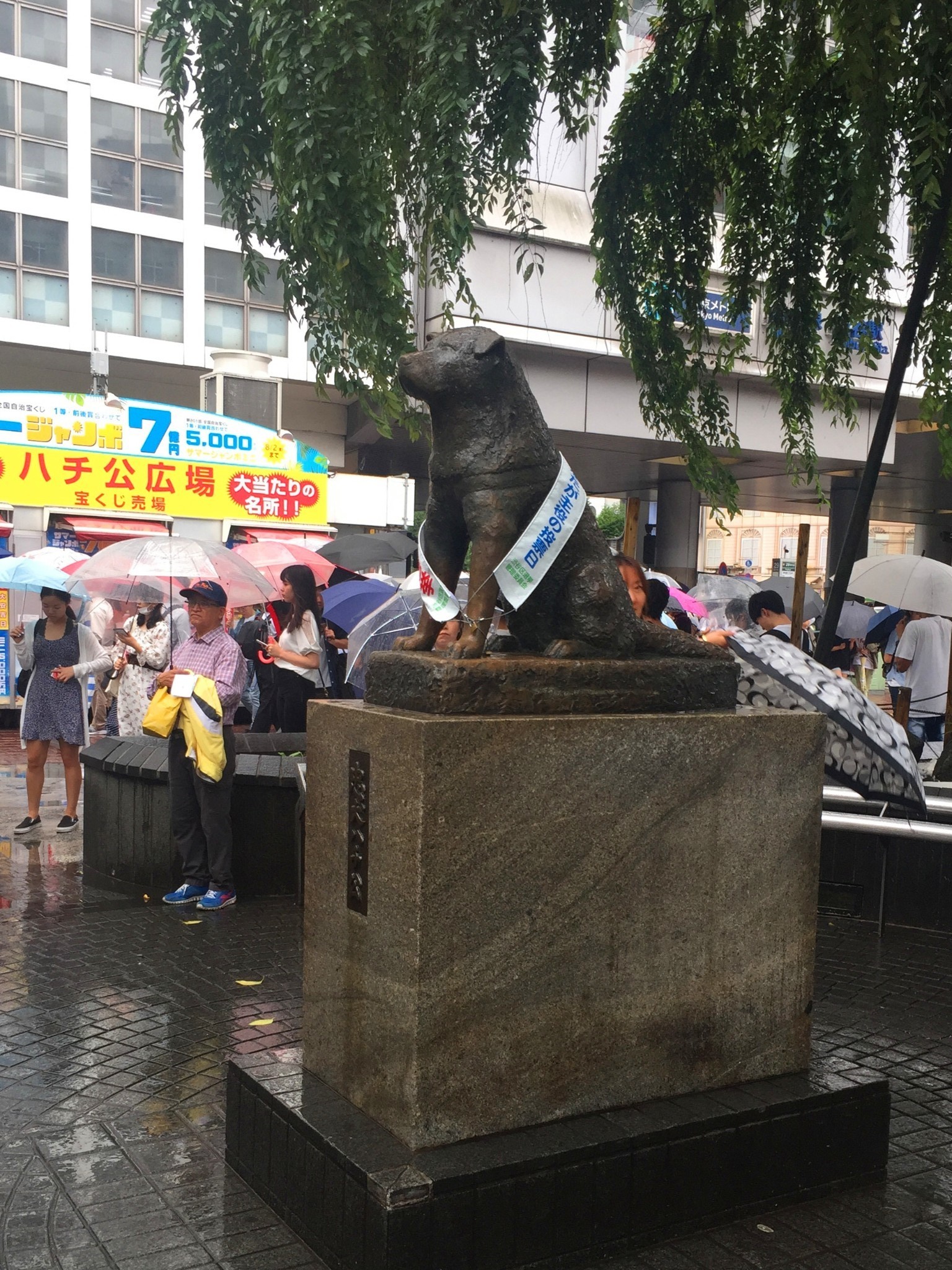 東京自助遊攻略