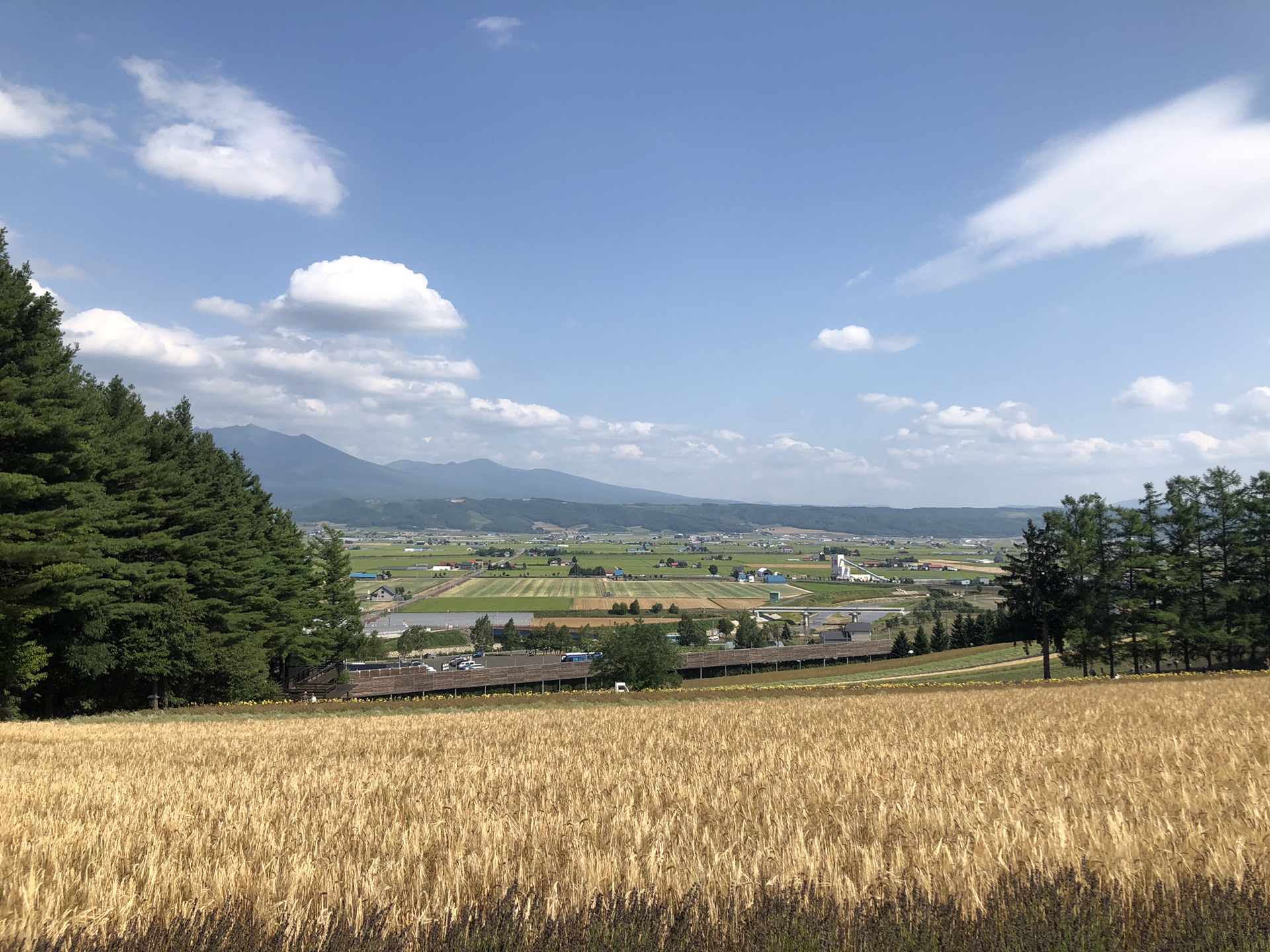 北海道自助遊攻略