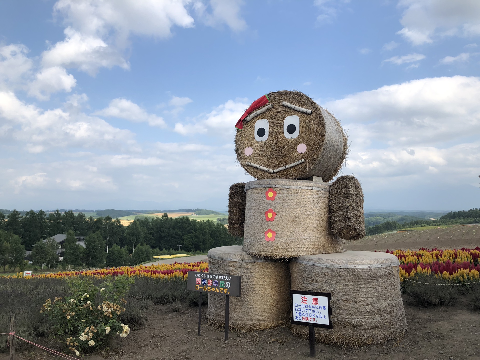 北海道自助遊攻略