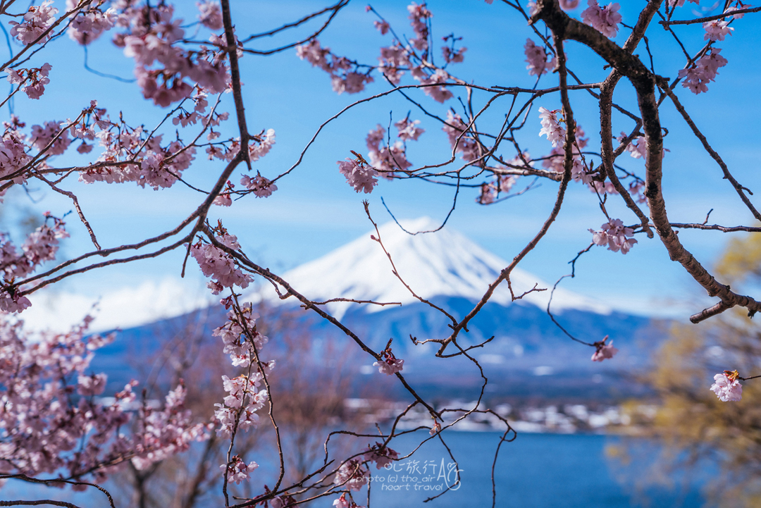 富士山自助遊攻略