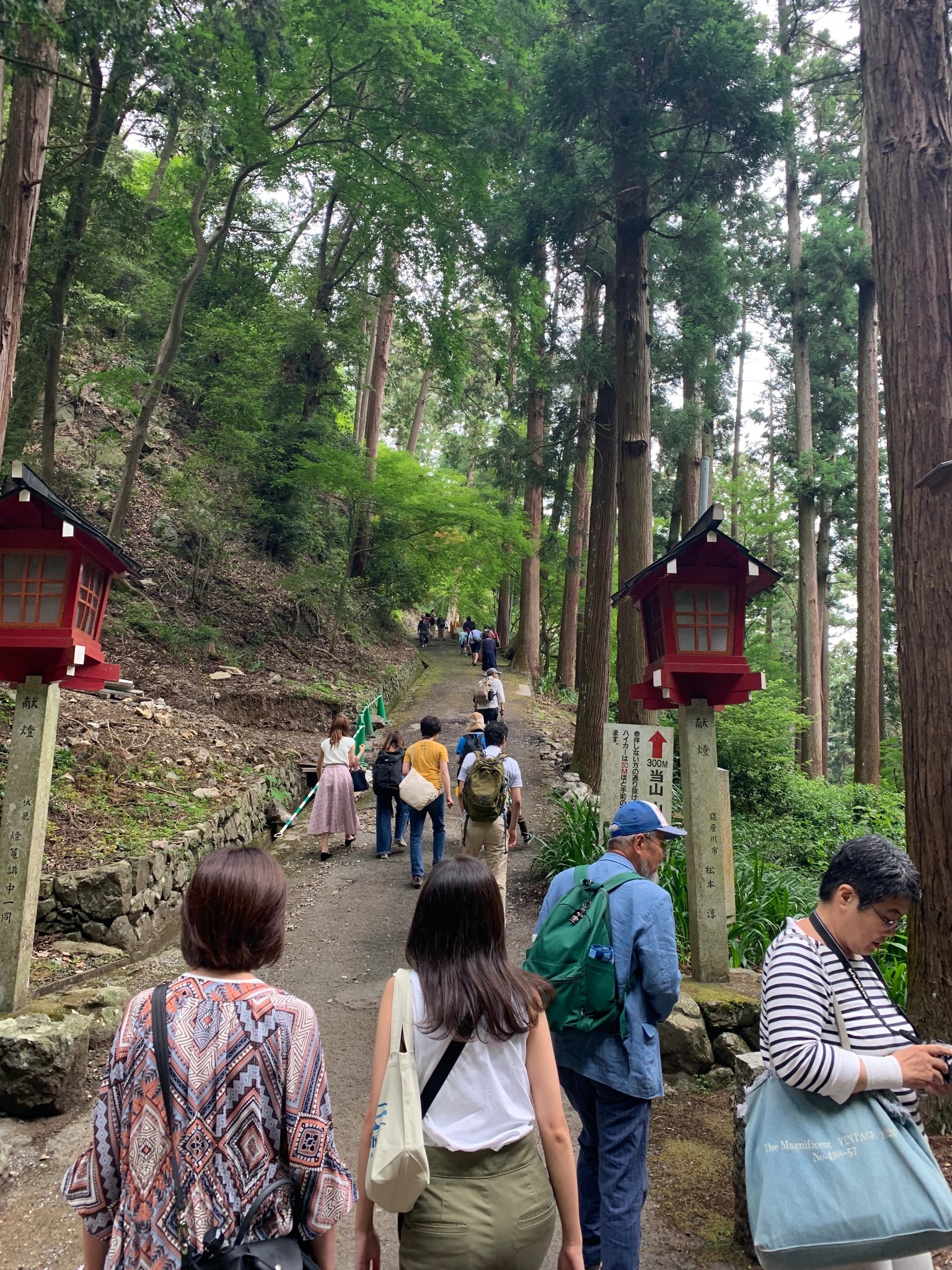 京都自助遊攻略