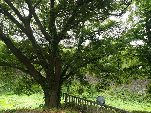 名古屋自助遊攻略