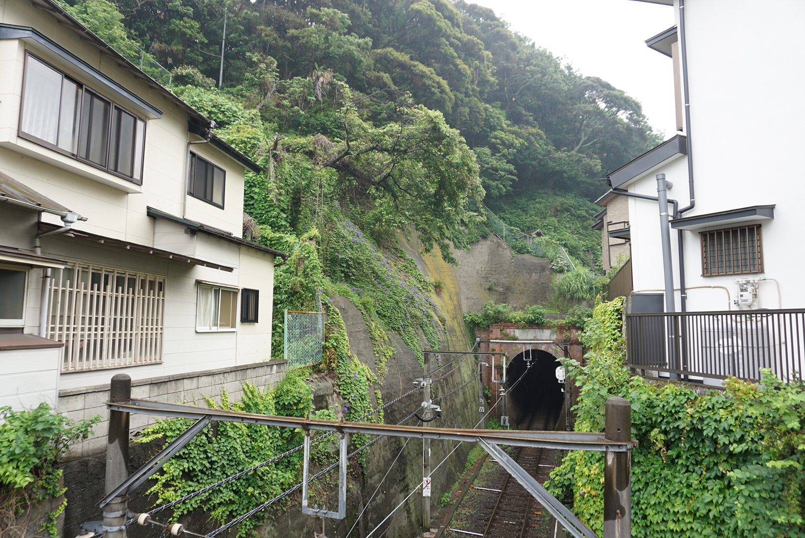 東京自助遊攻略