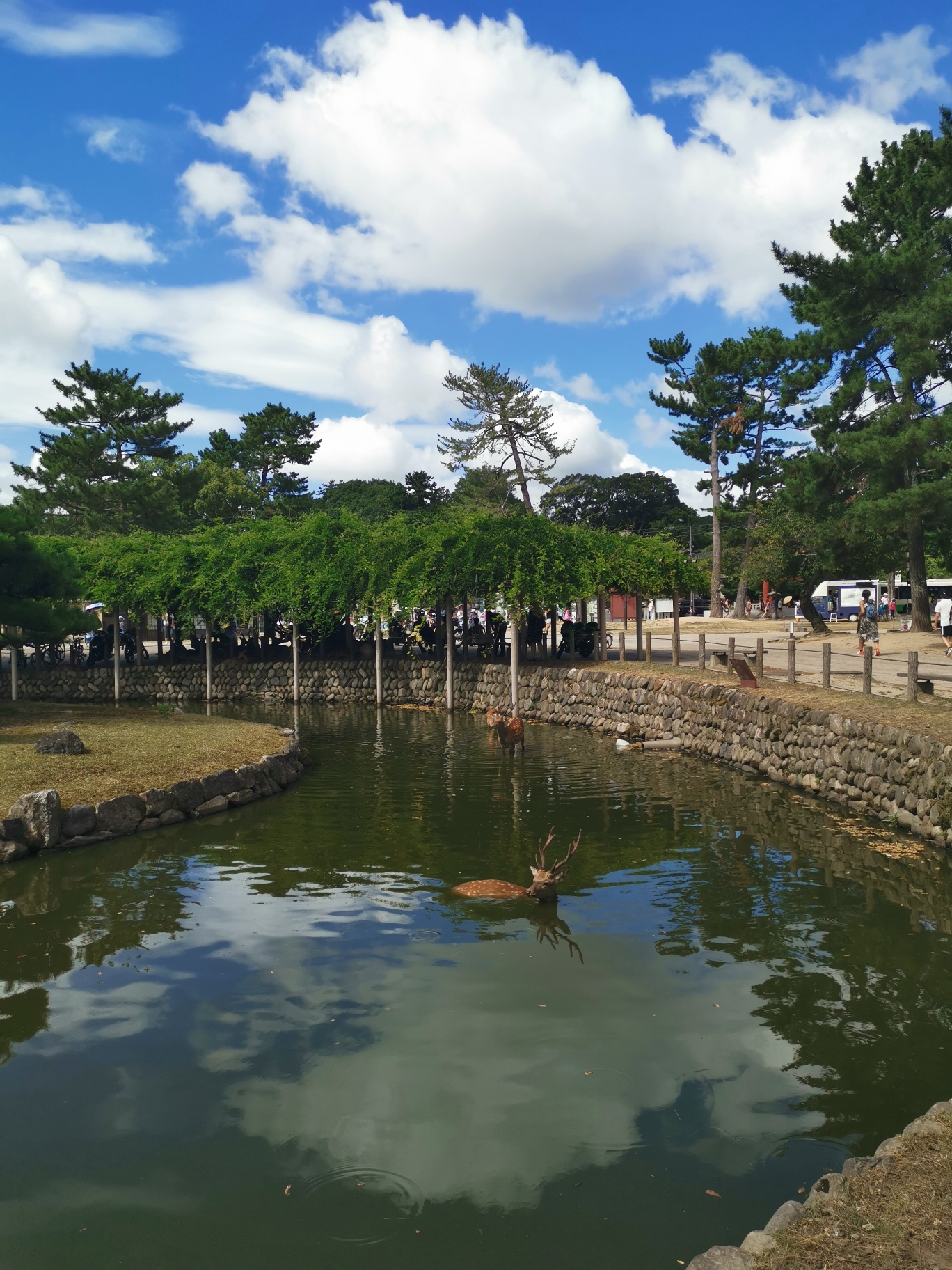 京都自助遊攻略