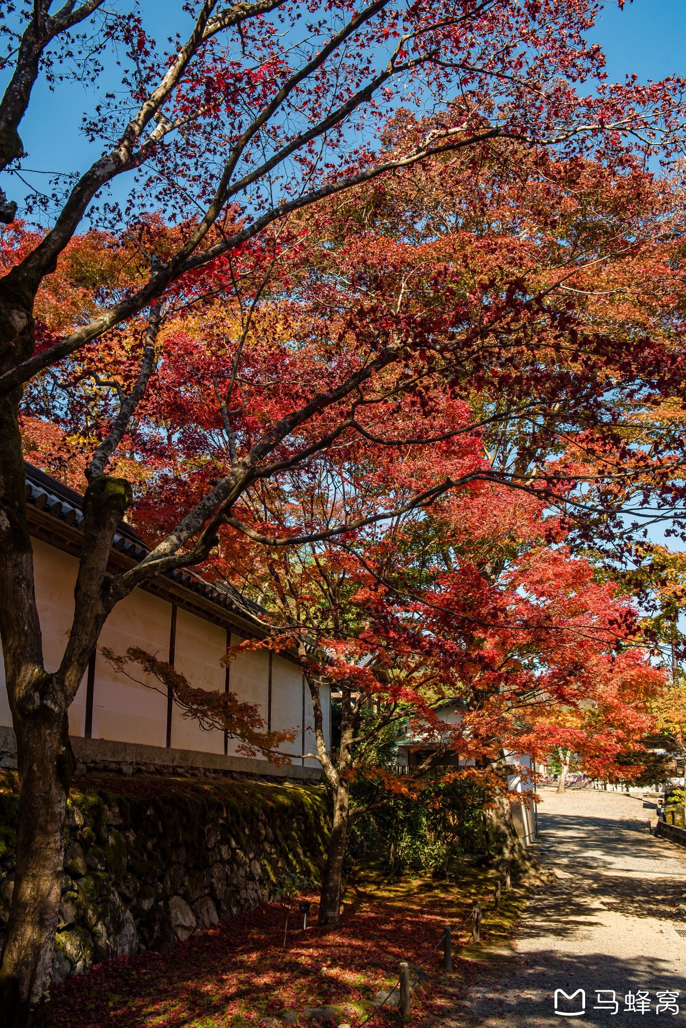 京都自助遊攻略