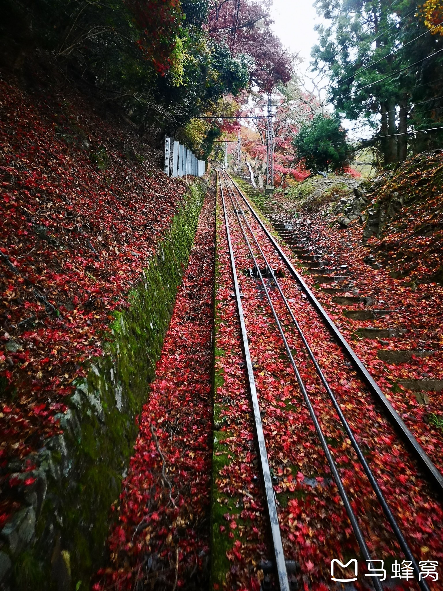 京都自助遊攻略