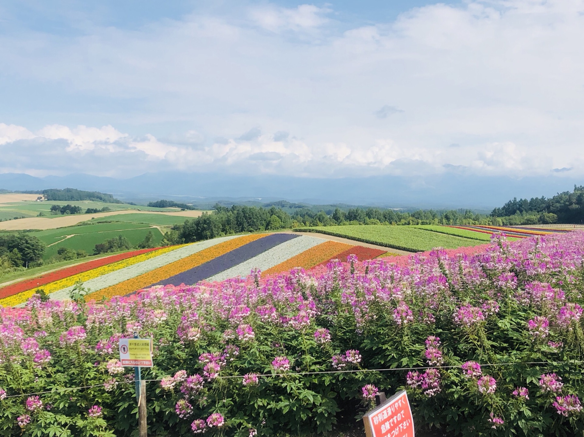 北海道自助遊攻略