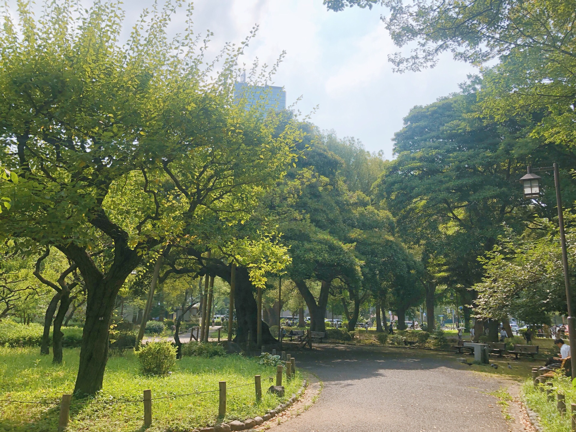 東京自助遊攻略