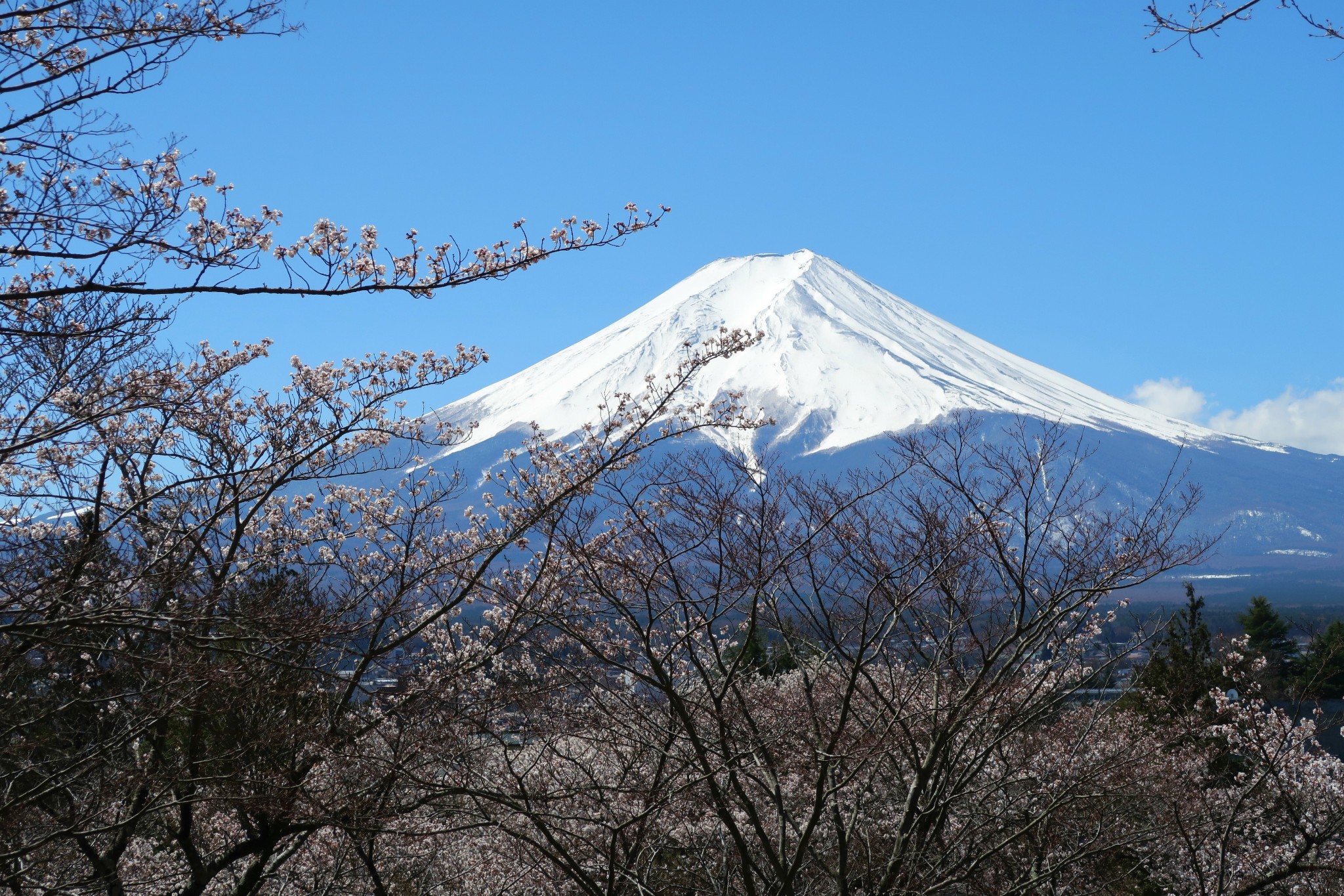 富士山自助遊攻略