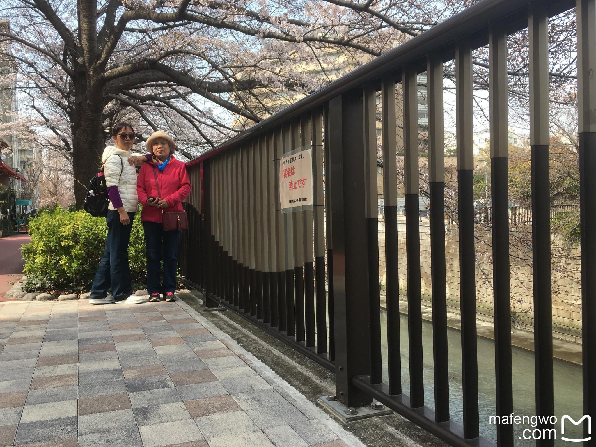 東京自助遊攻略