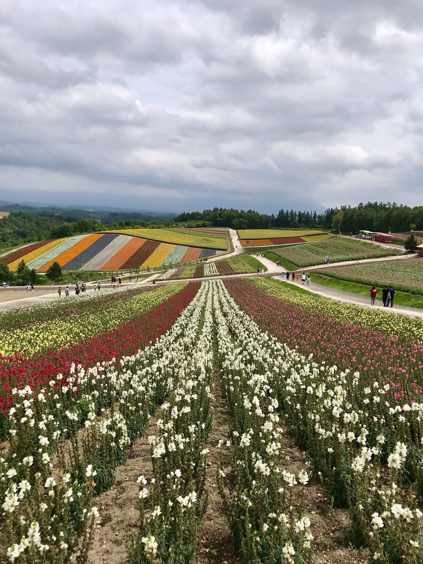 北海道自助遊攻略